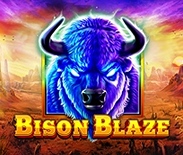 Bison Blaze